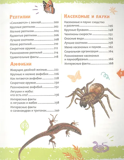 Животные. Новая детская энциклопедия - фото 4