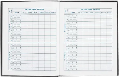 Дневник для мл.кл. "Тачка" тв.переплёт, полноцв.печать, печать по фольге, глянц.ламинация, пантон, шпаргалка для мл.классов - фото 5