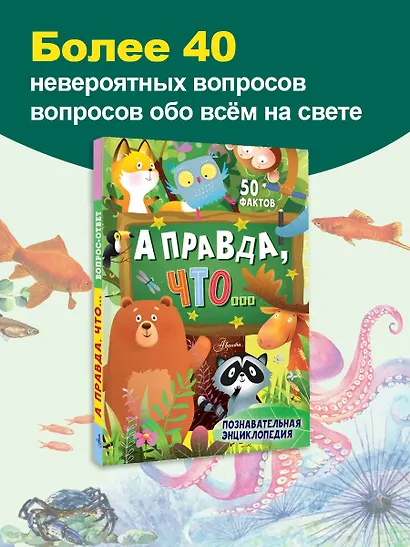 А правда, что... - фото 4