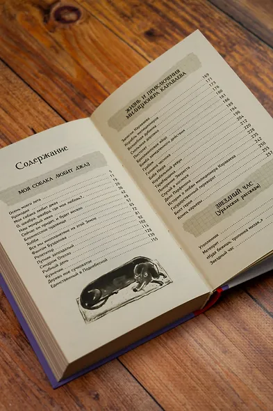 Моя собака любит джаз - фото 11