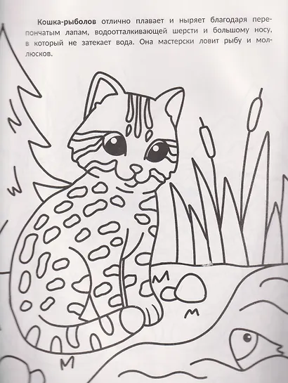 Самые мурчащие: книжка-раскраска - фото 2