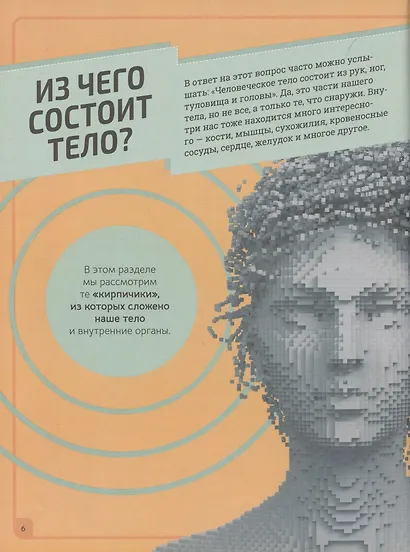 Тело человека. Инфографика - фото 5