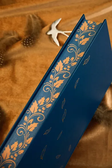 Библиотека Остролиста - фото 12