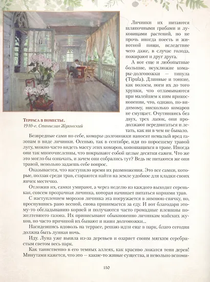 Дары русского леса. Грибы, ягоды и целительные растения - фото 4