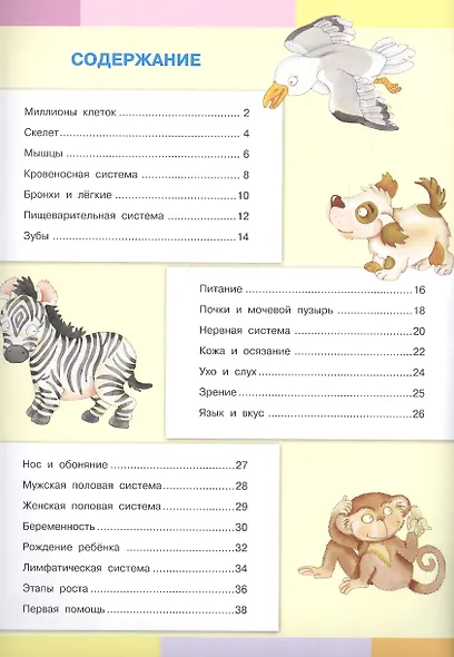 Тело человека. Моя первая энциклопедия с наклейками - фото 2