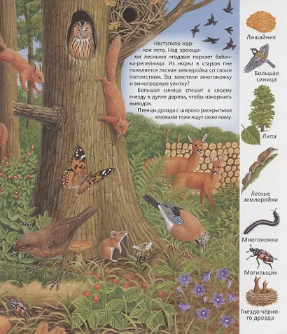 В лесу - фото 3