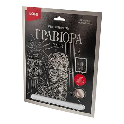 Набор для творчества. Гравюра большая с эффектом серебро "Шотландская вислоухая" - фото 4