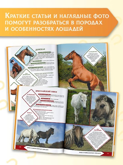 Лошади и пони - фото 6