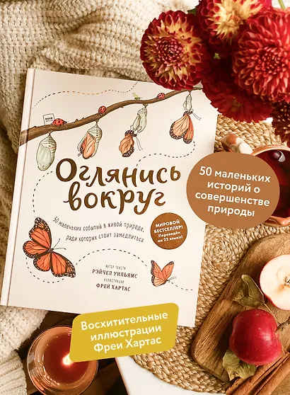 Оглянись вокруг. 50 маленьких событий в живой природе, ради которых стоит замедлиться - фото 5