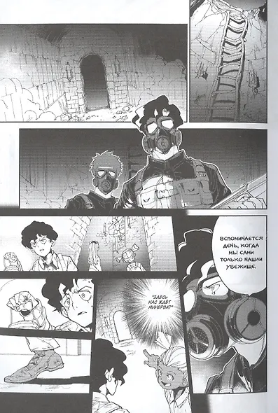 Обещанная страна грез. Книга 7 (Том 13, 14) (Обещанный Неверленд). Манга - фото 5