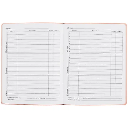 Дневник школьный Listoff, "Silver Lines. Meow" - фото 2