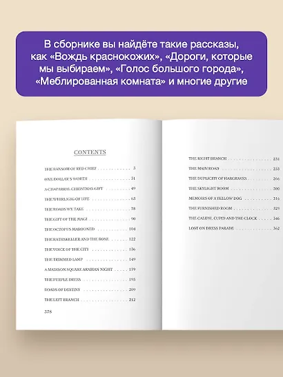 The Ransom of Red Chief and other stories - фото 4