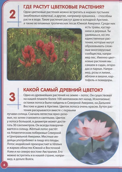 Цветы. Почемучкам и любознашкам - фото 3