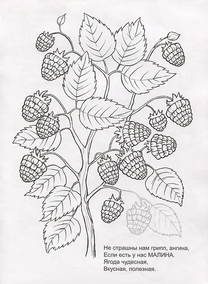 Летний сад. Раскраска с наклейками - фото 3