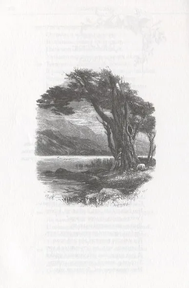 Прелюдия.1805 - фото 4