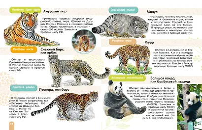 Красная книга. С заданиями, играми и головоломками - фото 8