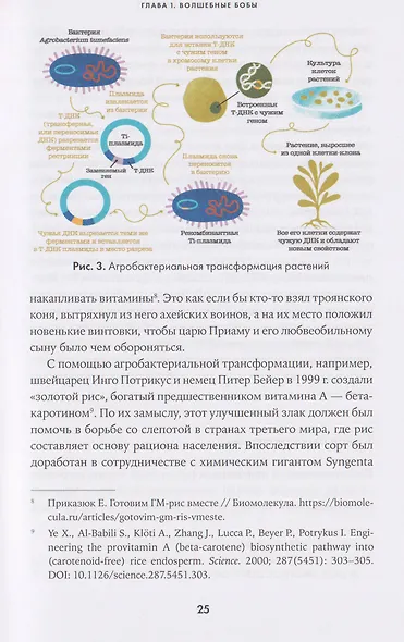 От пробирки до кастрюли: Как ученые разрабатывают продукты, которые мы едим каждый день - фото 4