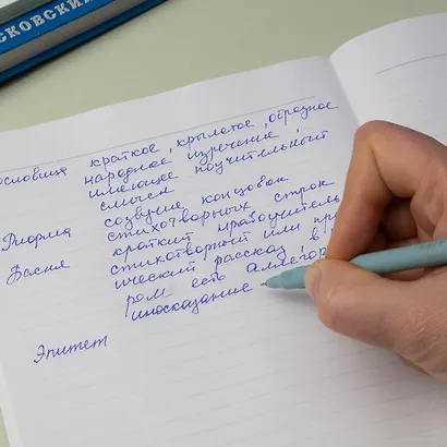 Тетрадь 48 листов "Литература" для записи понятий и формул - фото 6