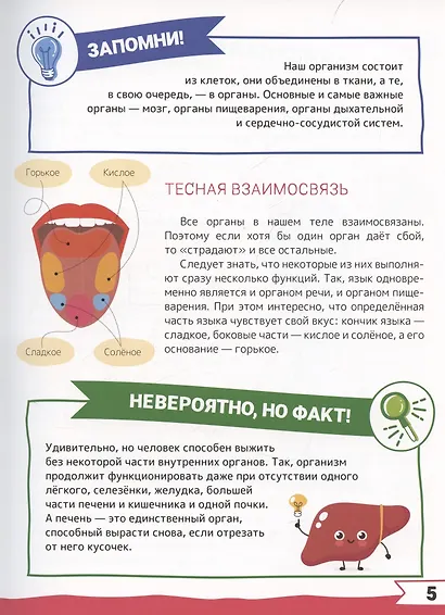 Большая энциклопедия дошкольника с дополненной реальностью - фото 8