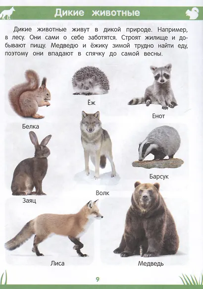 Энциклопедия дошкольника. 3-4 года - фото 4