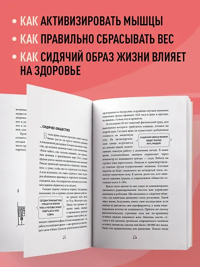 Мышцы. О том, как тренировка мышц укрепляет здоровье и омолаживает кожу - фото 6