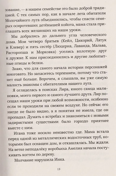 Роковое представление на Молочайном лугу - фото 4