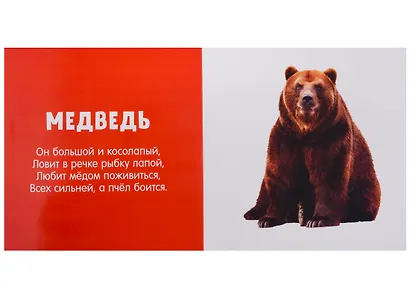 Первые слова. Любимые животные. Фотокнига со стихами - фото 4