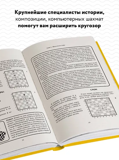 Полный курс шахмат. Все, что нужно знать, чтобы стать гроссмейстером - фото 5