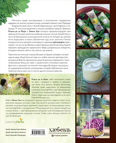 Дикие травы: как найти целебные продукты и создать собственные натуральные лекарства - фото 2