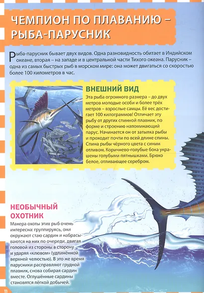 Морские обитатели - фото 5