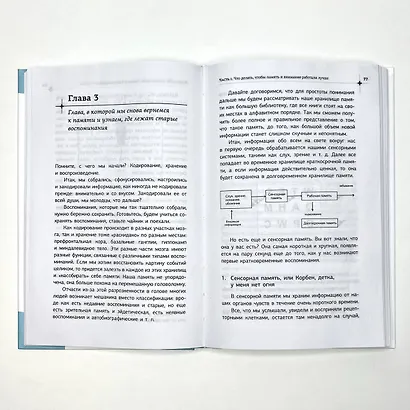 Внимание и память, и Почему они работали лучше, пока ты все не испортил - фото 6