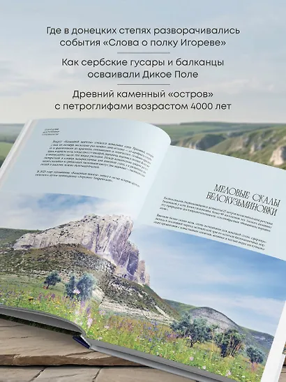 Донецкая и Луганская Республики. Наследие и будущее родного края - фото 6