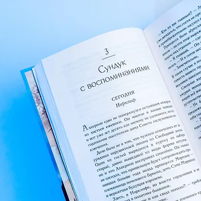 Замок на третьей горе. Книга 1. Король, у которого не было сердца - фото 8