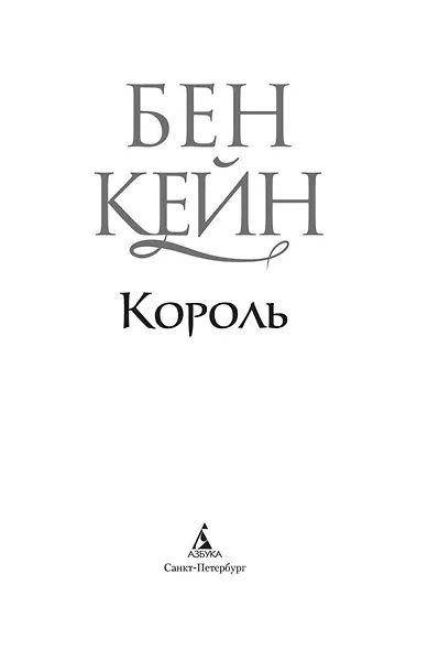 Ричард Львиное Сердце. Книга 3. Король - фото 8
