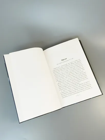 Лукавые книготорговцы Бата - фото 15