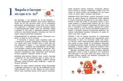 О вредных микробах и полезных бактериях - фото 5