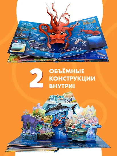 Все тайны подводного мира - фото 6