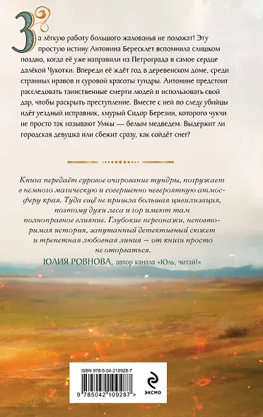 Комплект из 2-х книг. Медвежий край + Уездный город С - фото 6