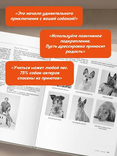Собака, которая умеет всё. Пошаговое руководство по 118 удивительным трюкам - фото 9