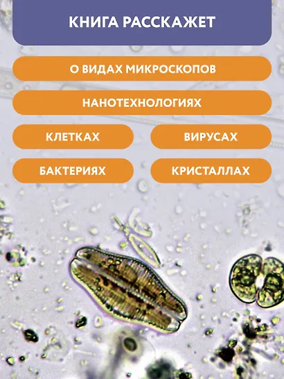 Микромир: наблюдаем в микроскоп: самая умная энциклопедия - фото 10