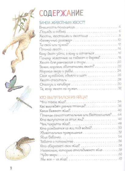 Удивительный мир животных. Энциклопедия для малышей - фото 2