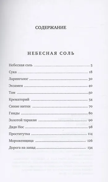 Небесная соль - фото 2