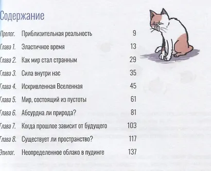 Квантикс. Комикс о квантовой физике и теории относительности - фото 2