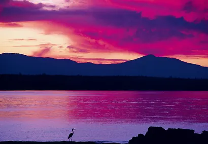 Искусство счастливых воспоминаний. Как создать и запомнить лучшие моменты - фото 9