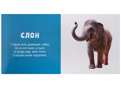 Первые слова. Любимые животные. Фотокнига со стихами - фото 5
