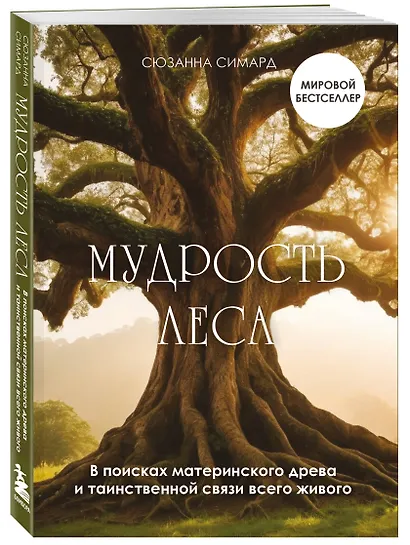 Мудрость леса. В поисках материнского древа и таинственной связи всего живого - фото 3