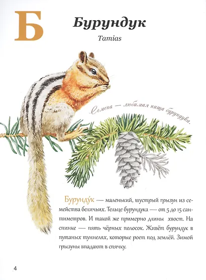 Азбука природы Дальнего востока - фото 3