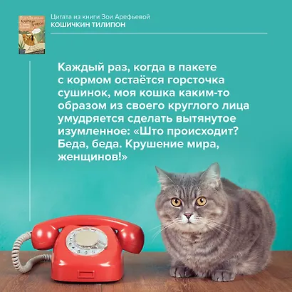 Кошичкин тилипон. Правдиви истори о котиках и их никчемни. Экспресс-помощь для тех, кто застрял в рутине и ищет вдохновение - фото 12