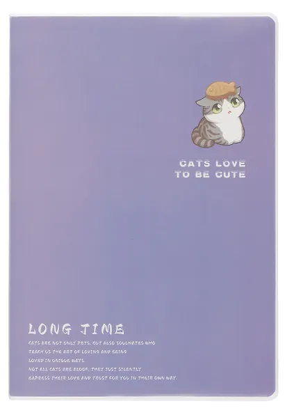 Тетрадь в клетку "Котики", 64 листа, в ассортименте - фото 11