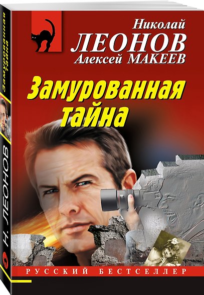 Замурованная тайна - фото 3
